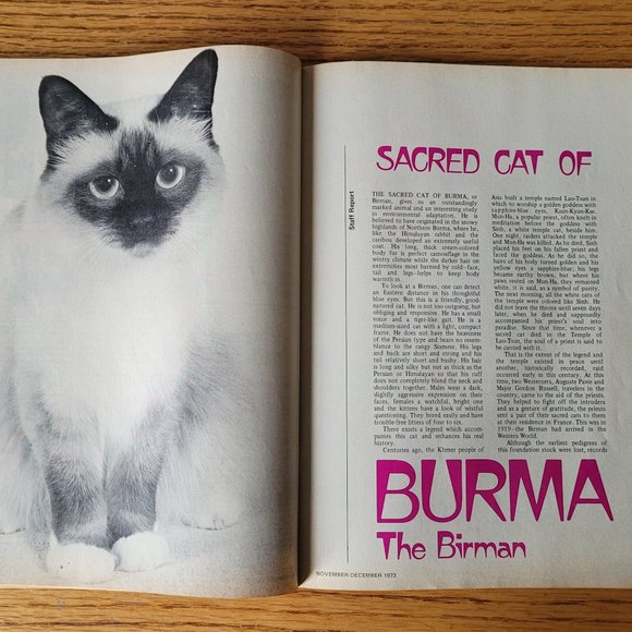 Vintage December 1973 Cat Fancy Photography, Hemingway Cats, - Picture 11 of 16